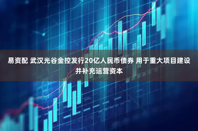 易资配 武汉光谷金控发行20亿人民币债券 用于重大项目建设并补充运营资本