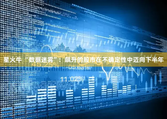 星火牛 “数据迷雾”：飙升的股市在不确定性中迈向下半年