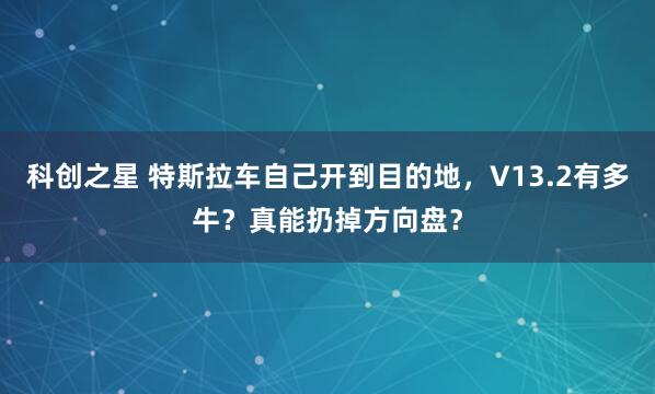 科创之星 特斯拉车自己开到目的地，V13.2有多牛？真能扔掉方向盘？