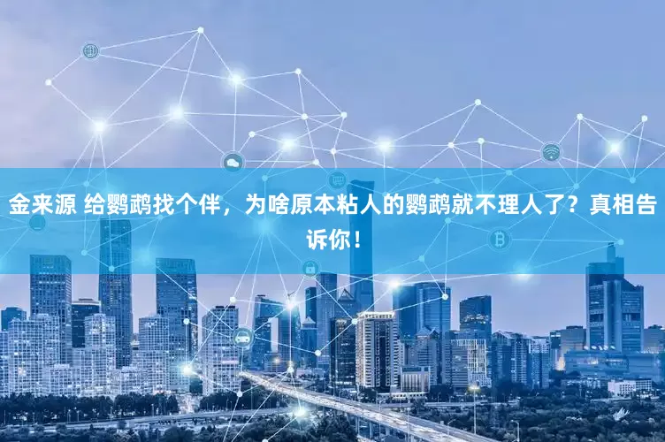 金来源 给鹦鹉找个伴，为啥原本粘人的鹦鹉就不理人了？真相告诉你！