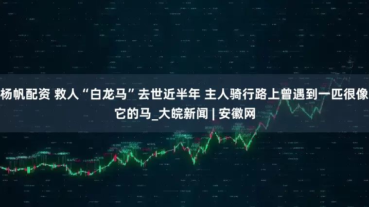 杨帆配资 救人“白龙马”去世近半年 主人骑行路上曾遇到一匹很像它的马_大皖新闻 | 安徽网