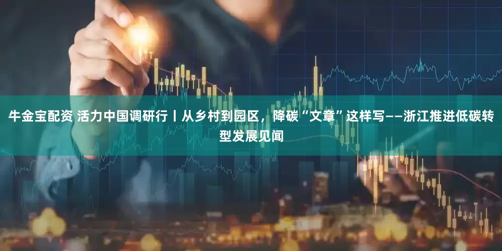 牛金宝配资 活力中国调研行丨从乡村到园区，降碳“文章”这样写——浙江推进低碳转型发展见闻